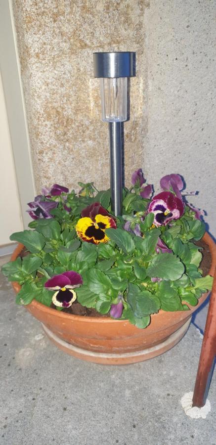 Ferienhaus Chez Emile 2 Avec Jardin Prive