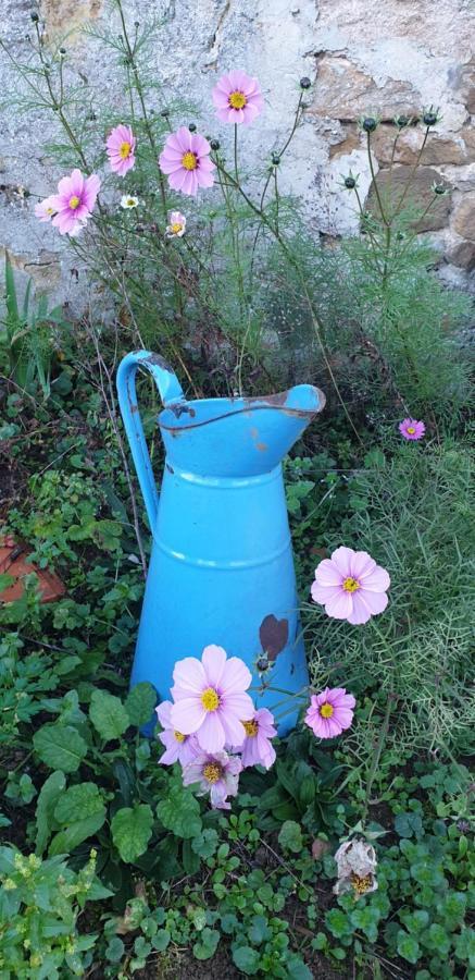 Chez Emile 2 Avec Jardin Prive Humes-Jorquenay