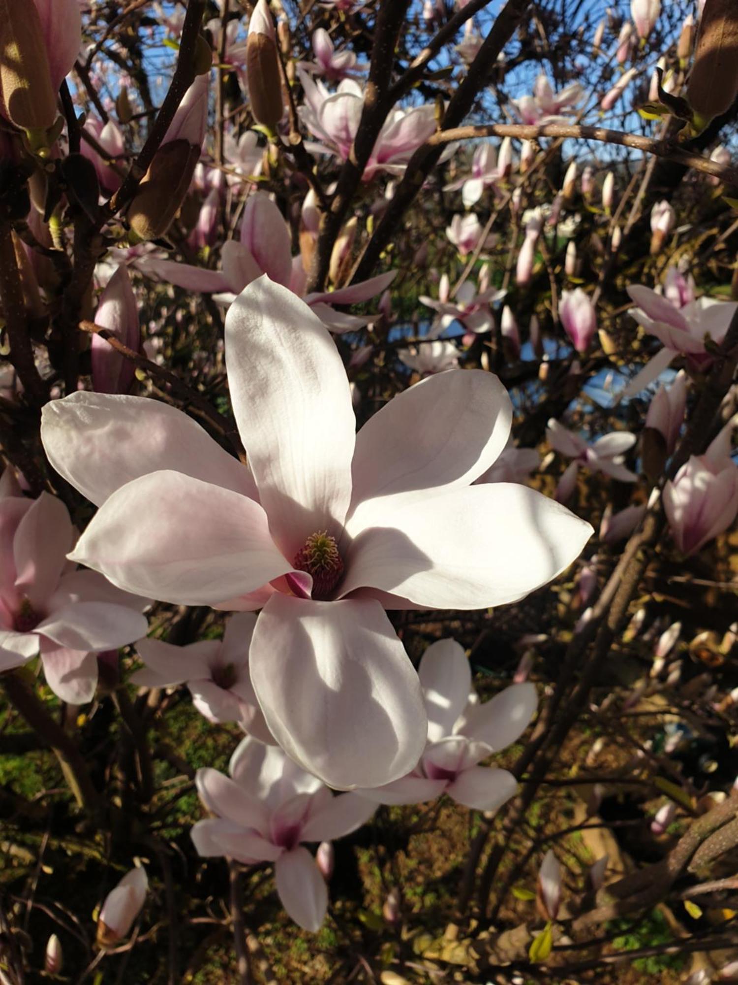Chez Emile 2 Avec Jardin Prive Humes-Jorquenay